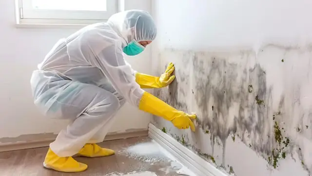 Worker in protective gear wiping mold from a wall above the baseboard
