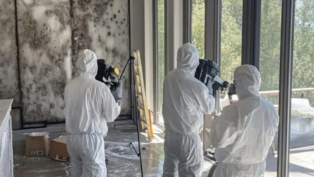 Team in white suits with a camera documenting mold in a room