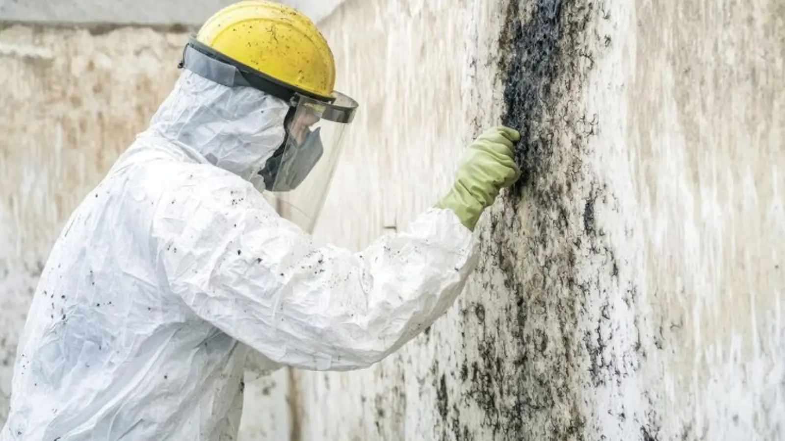 Remediation worker in a white suit and face shield treating a moldy wall