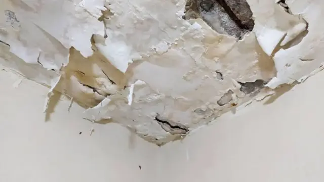 Peeling paint and plaster on a water damaged ceiling corner